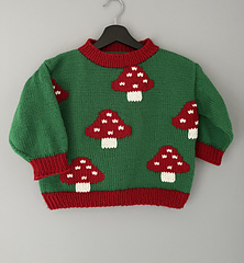 Age 6 (116cm). Duplicate stitch finish.