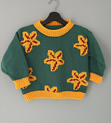 Age 4 (110cm). Duplicate stitch finish.