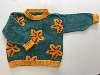 Age 4 (110cm). Duplicate stitch finish.