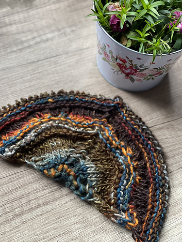 Elizabeth Shawl photo 7