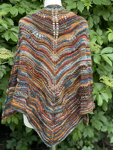 Elizabeth Shawl photo 6