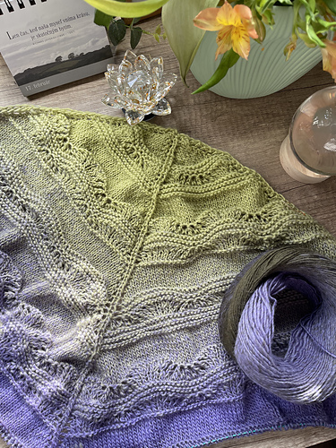 Elizabeth Shawl photo 5