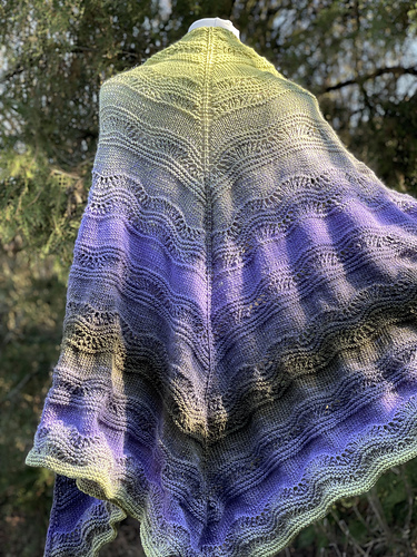 Elizabeth Shawl photo 3