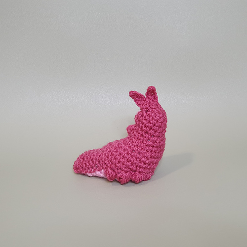 Velvet Worm photo 4