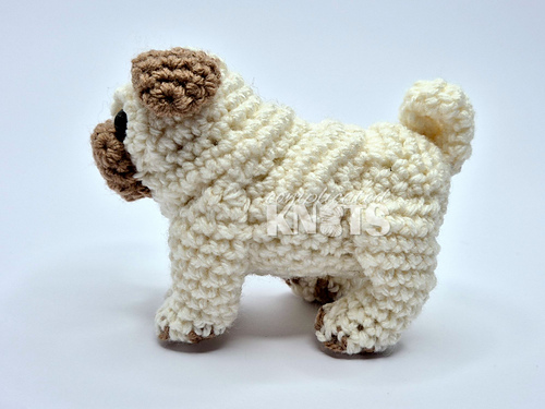Pug photo 7