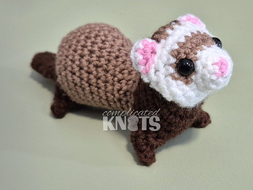 Ferret photo 4