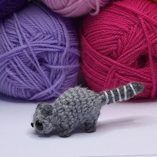 Mini Raccoon photo 5