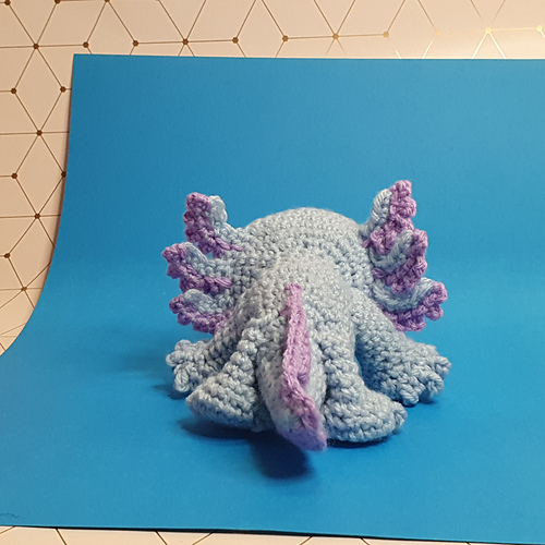 Axolotl photo 7