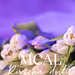 MCAL Ruzena doily pattern