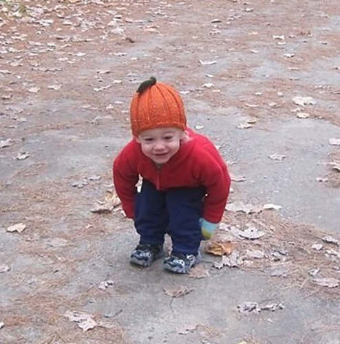 Pick of the Pumpkin Patch 다른 모습 1