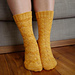 Toe Up Ginkgo Socks pattern 