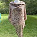 Birch Please pattern