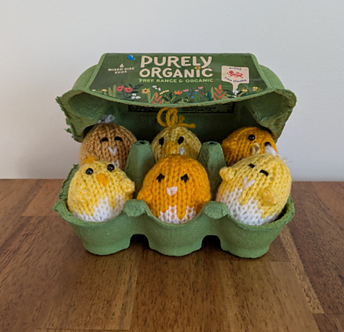 Chick Eggs photo 2