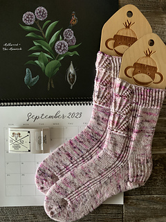 Ravelry: crescendogal's Mermaid Shell Socks