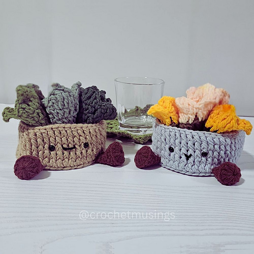 Succulent Coaster Set