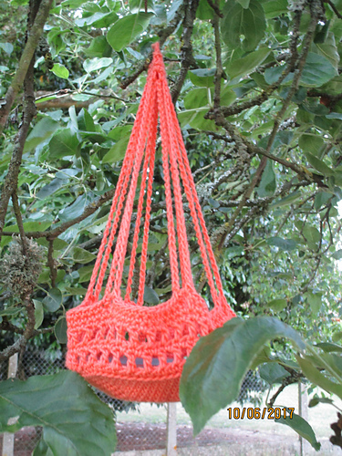 hanging basket photo 5