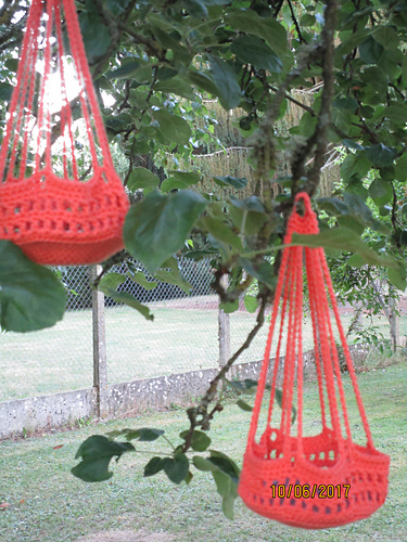 hanging basket photo 6