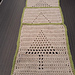 Fraser Fir Tree pattern
