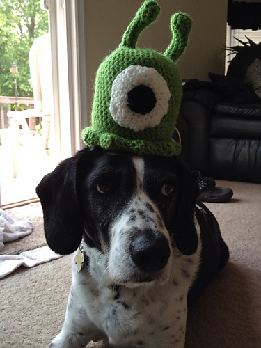 Brain Slug photo 7