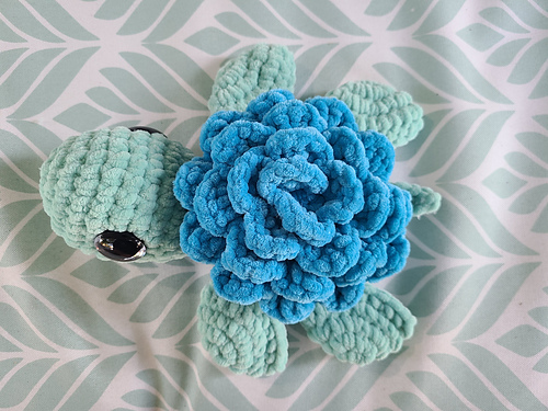 Rose Turtle photo 4