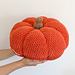 Giant Pumpkin Pouf pattern