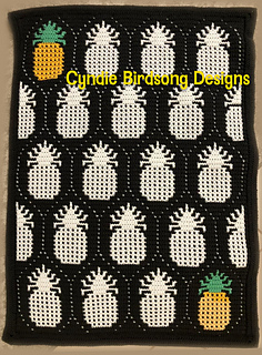 Tester Michelle made a cool throw in 2 tone with a couple colorful pineapples as an added touch