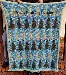Dana's fun winter throw using beautiful variegated blues for the background