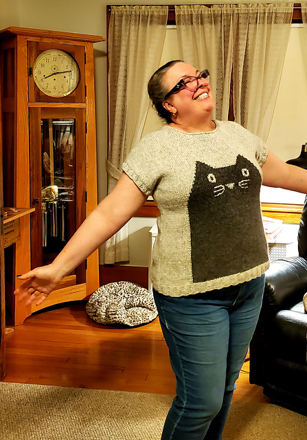 professor meow sweater