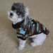 Bentley Bobbles Dog Sweater pattern 