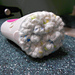 Textured Facial Scrubber photo 3