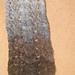 Showers of Lace Scarf photo 4