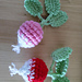 Radish pattern 