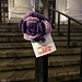 Roses Against Violence photo 2