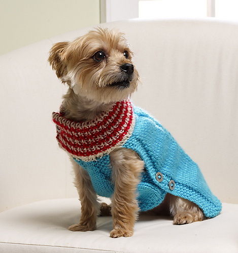 Holiday Dog Christmas Sweater photo 1