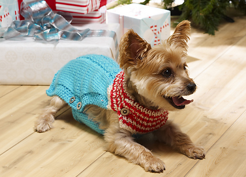 Holiday Dog Christmas Sweater photo 4
