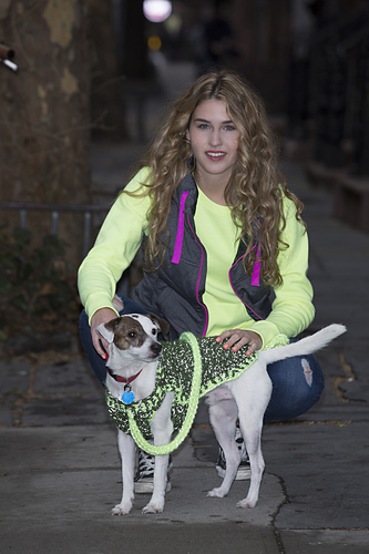 Flashy Dog Sweater photo 3