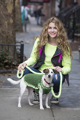Flashy Dog Sweater photo 4