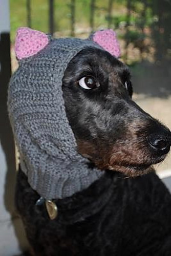 Kugel's Endless Scarf (with Cat Ears) photo 3
