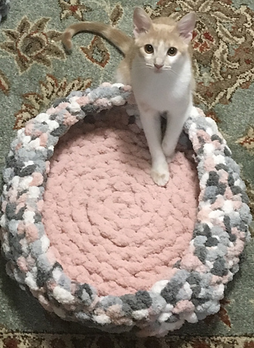 Cozy Cat Bed