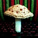 Speckled Mushroom pattern 