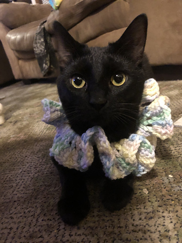 Clown Ruff - bydormouse666