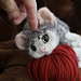 New Little Kitten pattern 