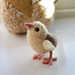Hen Chick pattern
