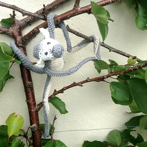 Brasiliansk Spiderapeb Mascot - Claire Garland