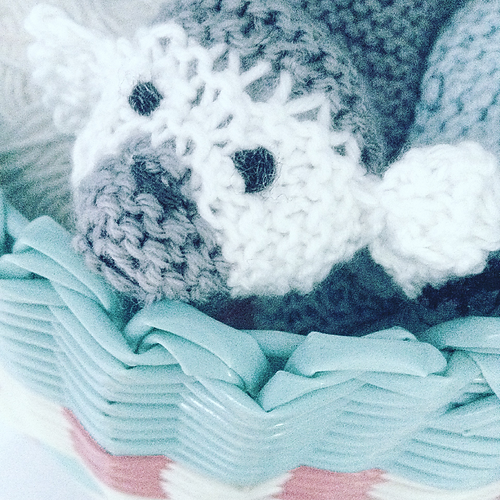 Brasiliansk Spiderapeb Mascot - Claire Garland