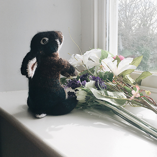 Svart Otter Rex - Claire Garland