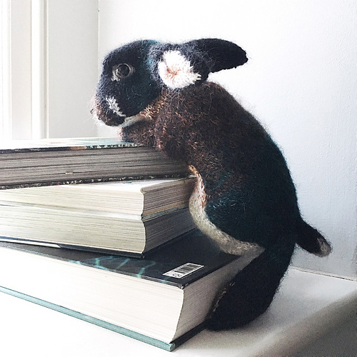 Svart Otter Rex - Claire Garland