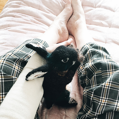 Svart Otter Rex - Claire Garland