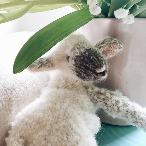 Lamb 다른 모습 6