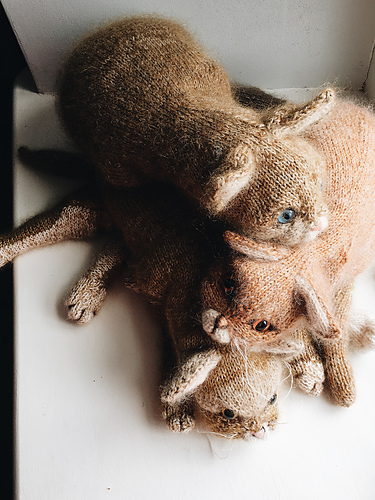 Katt - Claire Garland